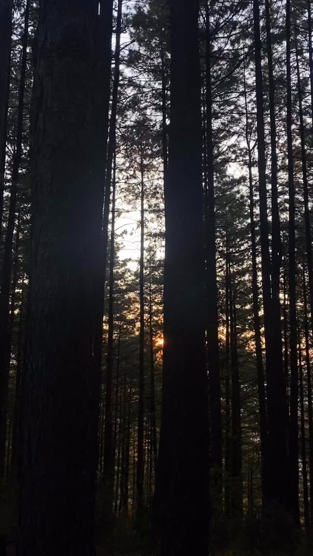 Instagram post from healing.with.hifza. This post is in position 5.